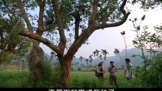 水社柳的呼喚王順瑜的浮田 (公共電視 我們的島第627集 20111024)