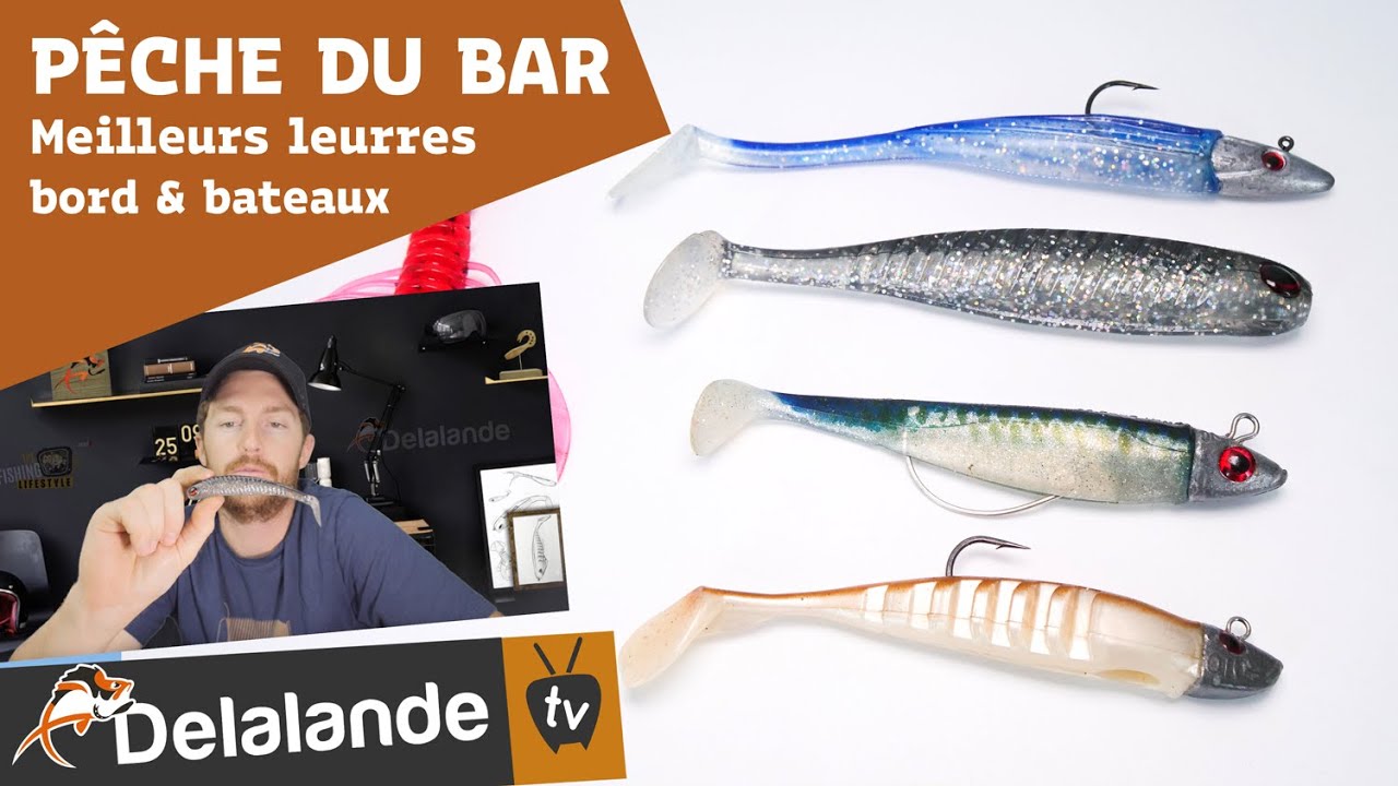 Les 5 meilleurs leurres pour la pêche du bar - Delalande Pêche - Leurres  souples