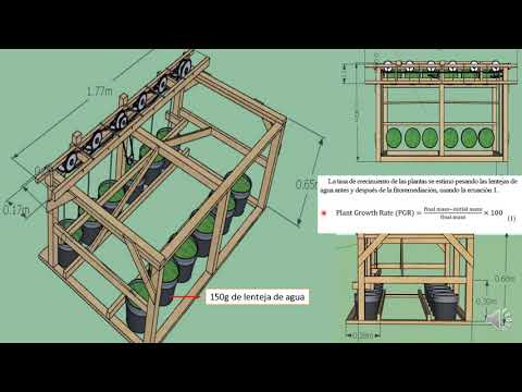 Video: Lenteja De Agua Jorobada Sin Pretensiones