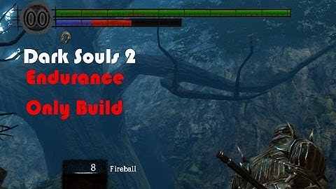 Dark Souls 2 - Endurance ONLY Build
