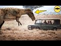 9 Expediciones al África que Encontraron Dinosaurios Vivos.