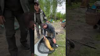 Super journée de pêche à L’étang Haute Charme avec mes amis Partie1