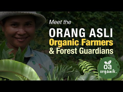 Meet the Orang Asli - Organic Farmers and Guardians of the Forest