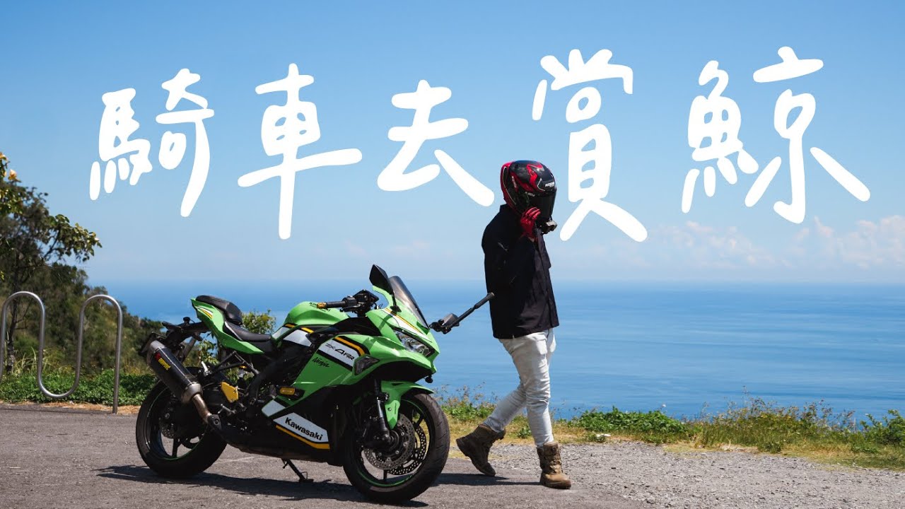 騎車是種選擇，騎去花蓮賞鯨！居然遇到超稀有種...