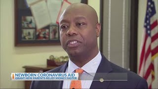 Sen. Tim Scott and other leaders announce bill to speed up stimulus checks for new parents Profile