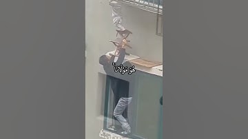 قُلْ لَنْ يُصِيبَنَا إِلَّا مَا كَتَبَ اللَّهُ لَنَا هُوَ مَوْلَانَا ۚ...(سورة التوبة ٥١)