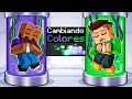 Cambiamos Nuestros Colores en Minecraft!