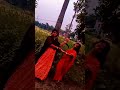 পাখি আমায় আগের বোঝেনা ♥️❤️ #romanticlove #viralshots
