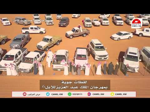 لقطات جويه من مهرجان الملك عبد العزيز للابل 6 مصيحة أصالة نصري صالح مانع
