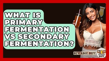 What Is Primary Fermentation Vs Secondary Fermentation? - Beverage Buff