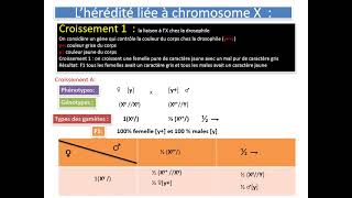 hérédité liée au sexe وراثة متعلق بالجنس