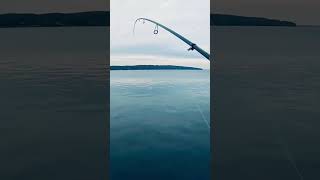 #рыбалка #окунь #щука #басс #хищник #джиг #джигриг #fishing