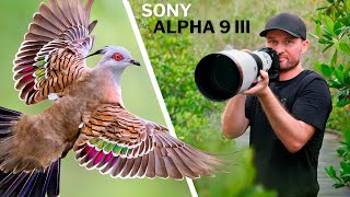 Birds In FLIGHT With 120 FPS! CRAZY Results! | Sony A9 III In Action!