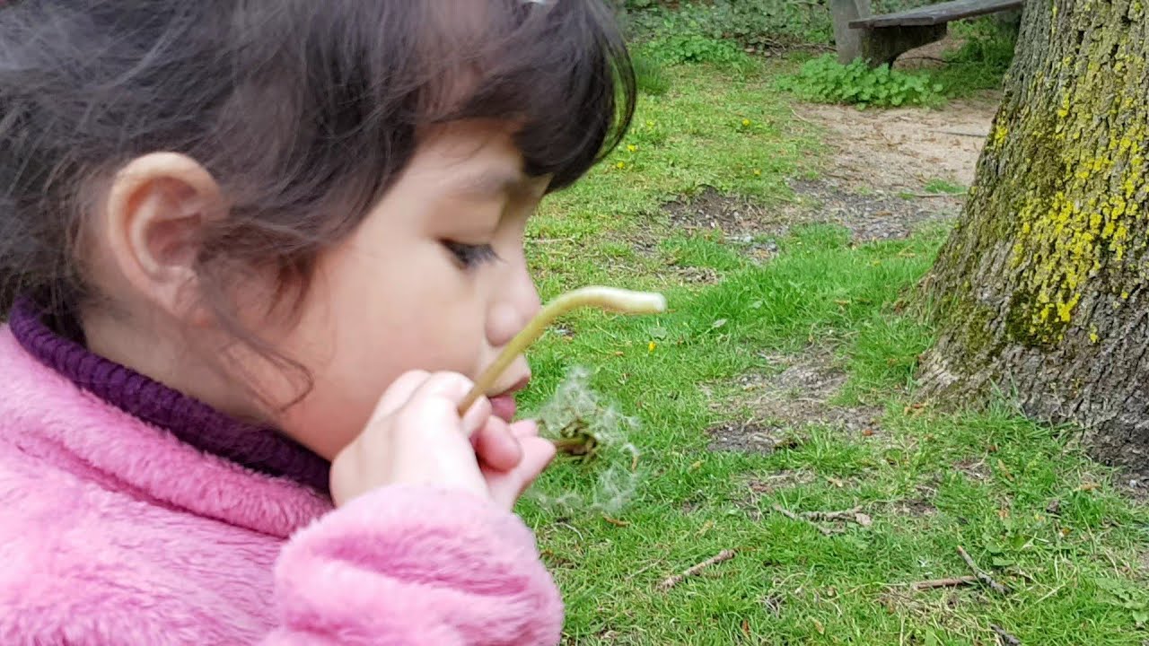 She Loves To Blow Dandelions Youtube