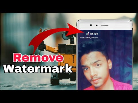 Featured image of post How To Remove Tiktok Watermark Online