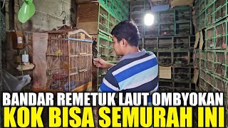 Download Lagu INI EDAN !!! 100 EKOR REMETUK LAUT DIJUAL SEMURAH INI PADAHAL LAGI TRENDING PALING DICARI MP3 Download Lagu INI EDAN !!! 100 EKOR REMETUK LAUT DIJUAL SEMURAH INI PADAHAL LAGI TRENDING PALING DICARI MP3