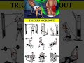 #bicepsworkoutatgym