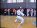 Sochin - Shotokan Kata / Сочин - Ката Шотокана