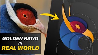 How to design a Bird logo with golden Ratio | Adobe Illustrator
