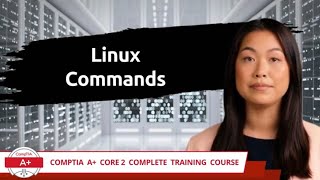 CompTIA A+ Core 2 (220-1102) | Linux Commands | Exam Objective 1.11 | Course Training Video