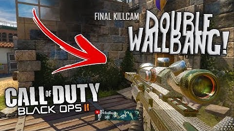 I HIT MY BEST BO2 SHOT & FAN HITS INSANE RANDOM TRICKSHOT! (Black Ops 2 Trickshotting)
