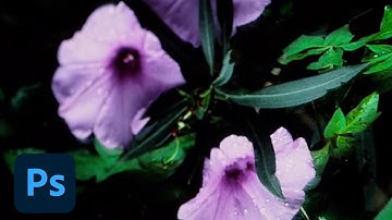 Photoshop CC: Camera Shake Reduction | Adobe Photoshop