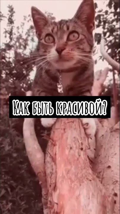 Как быть красивой? - YouTube