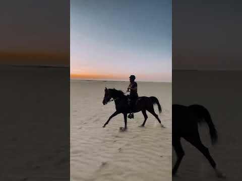 يالله تغفرلي ولا تبلاني واجعل قلبي ابيض صافي النيه 