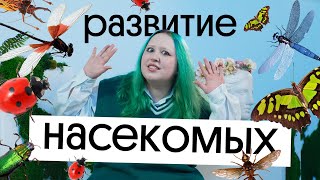 🐛 РАЗВИТИЕ НАСЕКОМЫХ ЗА 10 МИНУТ | САМАЯ СЛОЖНАЯ ТЕМА ПО ЗООЛОГИИ!