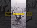 Scientists Warned of Man-Made Climate Change #nuclearwar #climatechange #worldcrisis