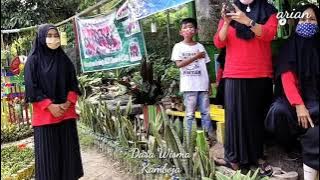 Download lagu Kreatif Tanam Toga dan Tanaman Produktif Dasa Wisma Tulip Kamboja Menuju Desa Wisata.