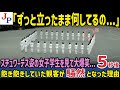 スチュワーデス姿の女子学生を見て大爆笑...5秒後...飽き飽きしていた観客全員が騒然となった理由【海外の反応】