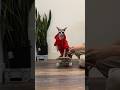 I taught my cat how to skateboard  openfarmpet openfarmpartner shorts sphynx pets