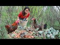 Woman with monkey helped chicken with baby chicken and cook egg at bamboo hut - Eating delicious