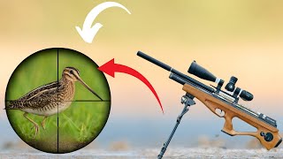 Best Hunting Shots of the Season | Epic Bird Hunts 2025