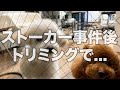 ストーカー事件後初めてのトリミングで事件発生