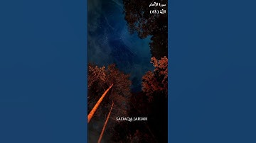 سورة الأنعام الأية 63