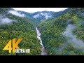 4K Bird's Eye View of Madagascar - Short Preview Video
