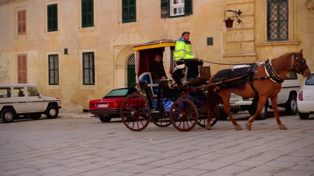 MTA Promo Video Extended Version