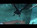 Peter Jackson's King Kong ~ The Game Xbox 360 (Part 3)
