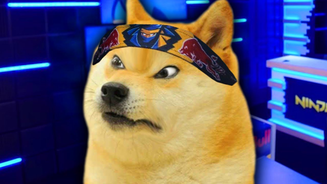 Ninja Doge Is Mad Youtube - roblox angry doge