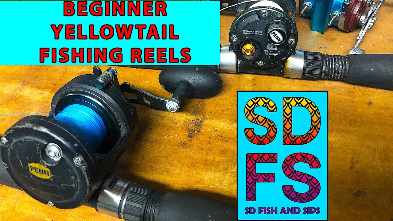 Beginner Yellowtail Fishing Reels, Conventional Star Drag Penn & Daiwa