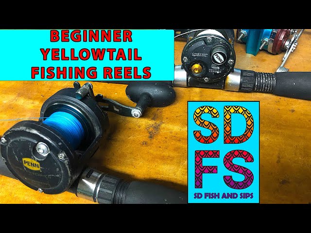 Beginner Yellowtail Fishing Reels | Conventional Star Drag Penn 