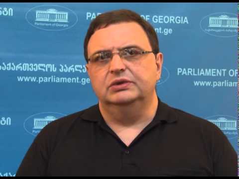 გუბაზ სანიკიძის კომენტარი ირანის ისლამური რესპუბლიკის მეჯლისის წევრებთან შეხვედრის შესახებ