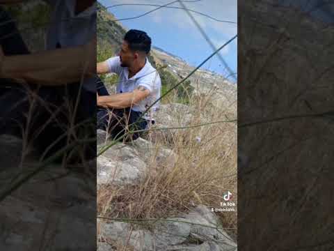 اسماعيل تمر و الشامي يا دنيا زيدي حملانا انا كتفي جبل وقلبي شاب