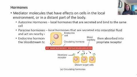 Ch 18 Lecture   Part 1