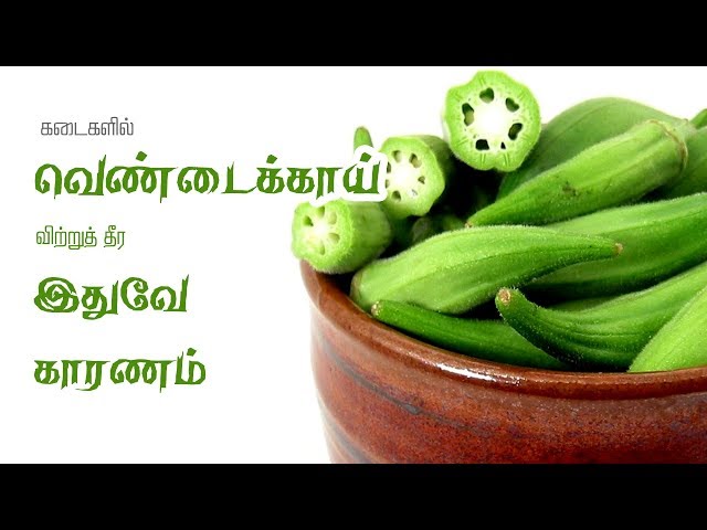 Vendakkai / Ladies Finger / Okra Health Benefits in Tamil
