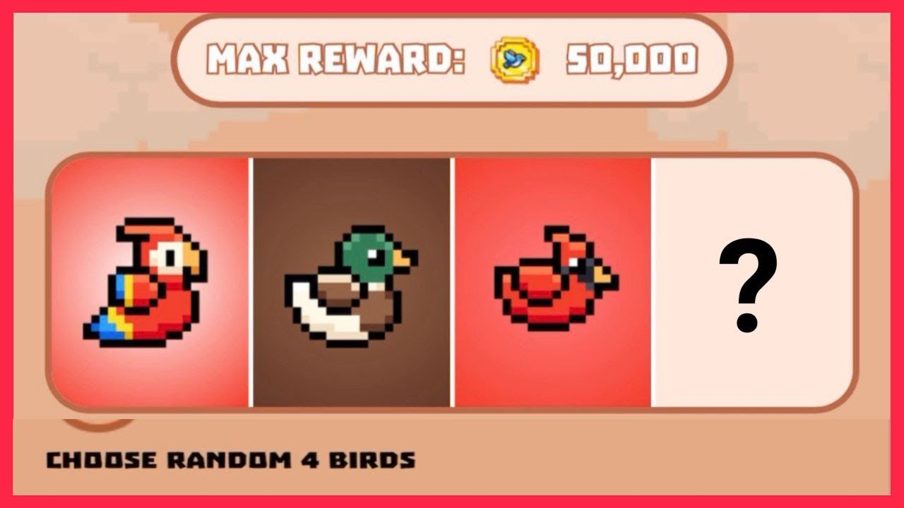 Bird Daily Combo Today 5 March | Bird Combo Today | Daily Combo Bird | Bird Airdrop ‼️ 
