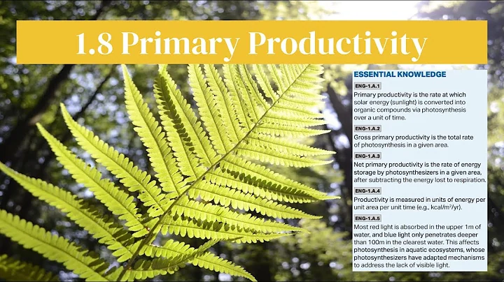 1.8 Primary Productivity - AP Environmental Science