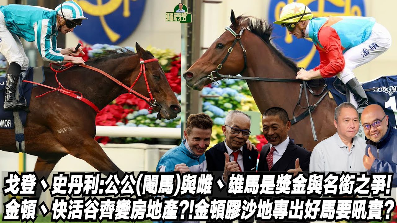戈登丶史丹利:公公(閹馬)與雌丶雄馬是獎金與名銜之爭!金頓丶快活谷齊變房地產?!金頓膠沙地專出好馬要吼實?(張福元跑馬4.0)21-12 ...